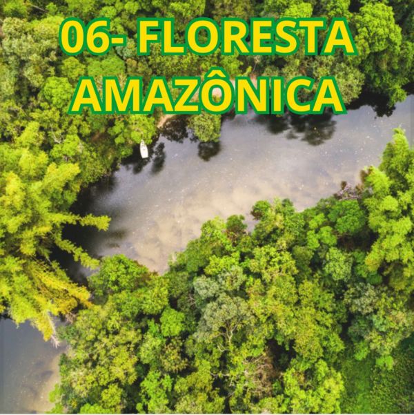 06 Floresta Amazônica