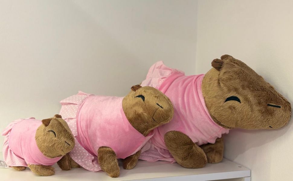 Pelúcia Capivara Vestido Rosa