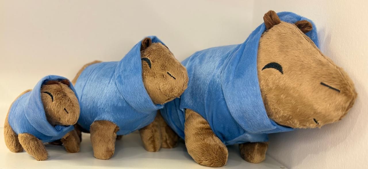 Capivara com Capuz