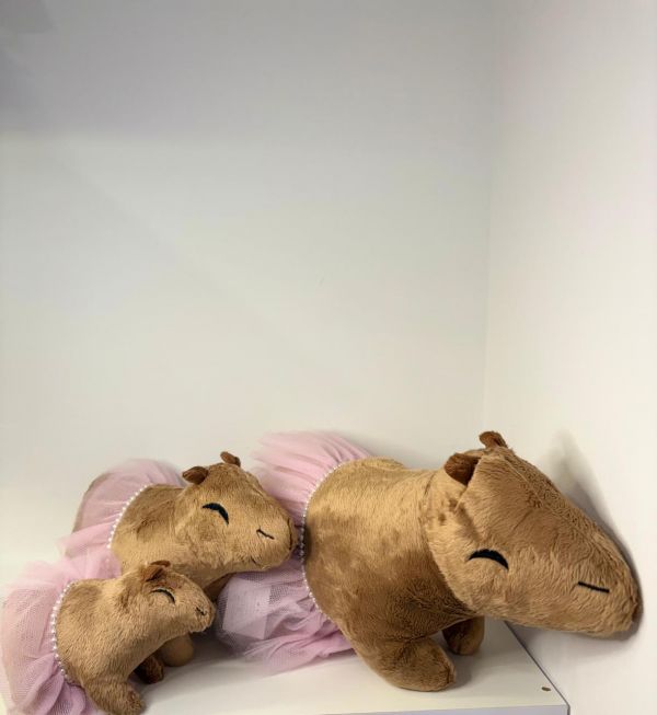 Pelúcia Capivara Bailarina
