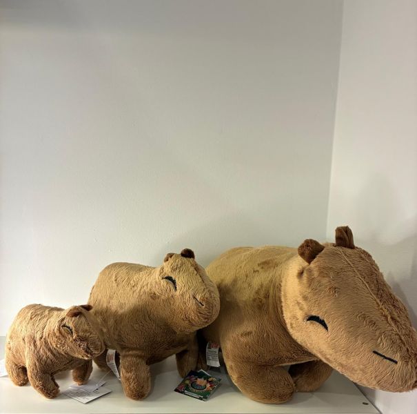 Pelúcia Capivara Lisa