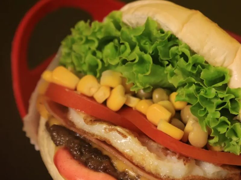 X Vegetariano ( sem Hamburguer )