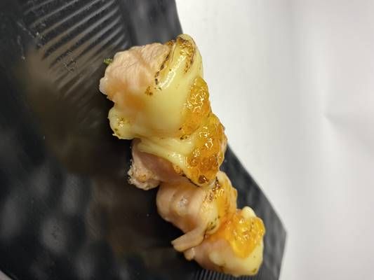 Djoy Salmão Brie Selado (4 Peças)